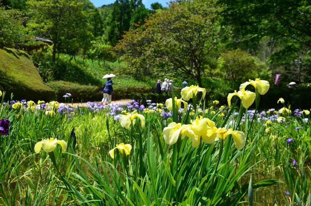 🌸 사계절 마을 공원(시키노사토 코엔)